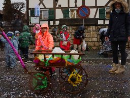 Allschwiler Fasnacht 26 - Andreas Lutz